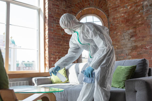 Best Mold Remediation for Healthcare Facilities  in Hutchins, TX