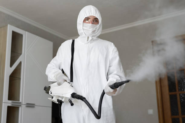 Best Mold Prevention Services  in Hutchins, TX